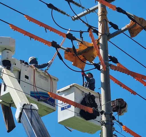 '25년 광주전남본부 진도지사 전문회사 공사