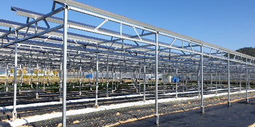 Renewable Energy Business